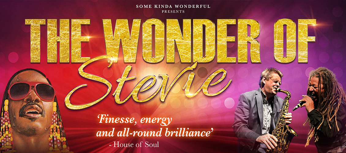 WS: The Wonder of Stevie
